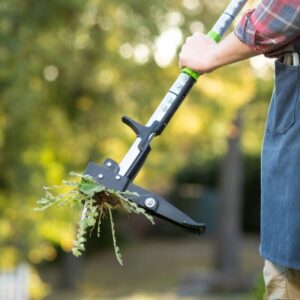 Long Handled Weed Puller