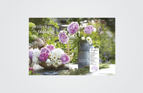 Perfect for the picking