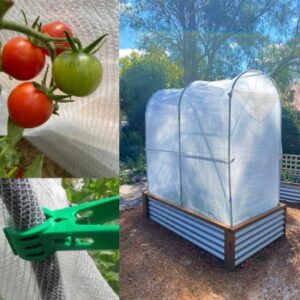 The Veggie Patch Shop