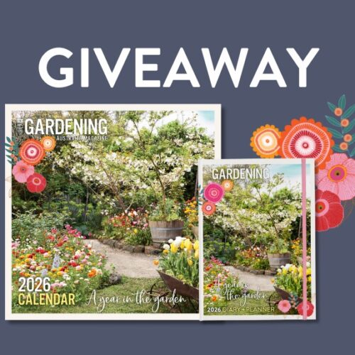 Giveaway