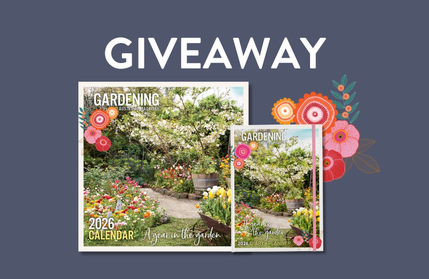 Giveaway