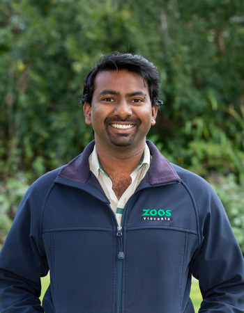 Invertebrates co-ordinator at Melbourne Zoo, Melvin Nathan