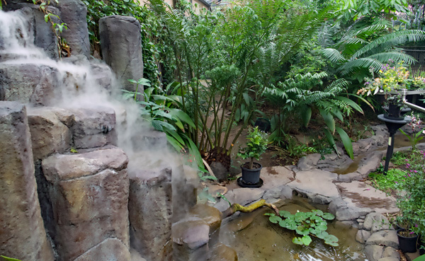 Waterfall in the Butterfly House