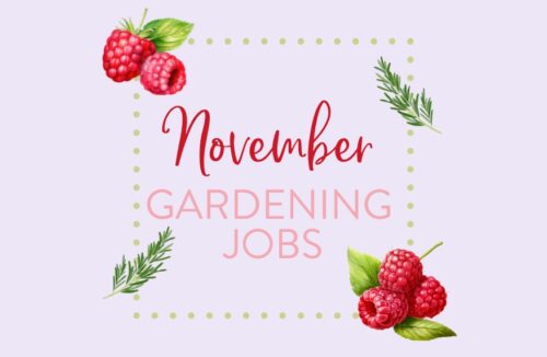 November gardening jobs