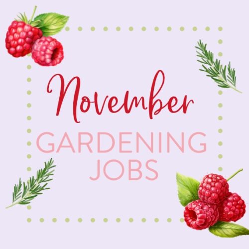 November gardening jobs