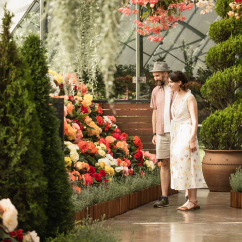 2026 Ballarat Begonia Festival