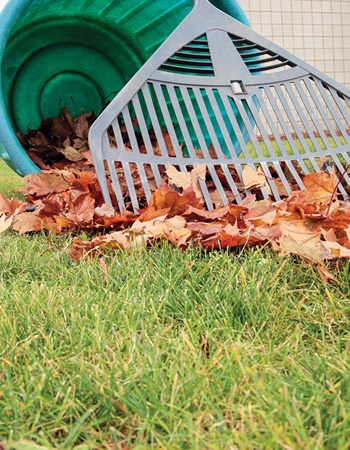 December gardening jobs