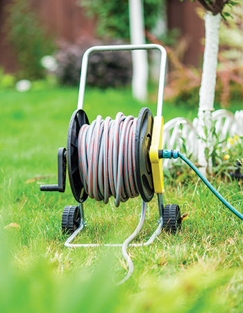 December gardening jobs