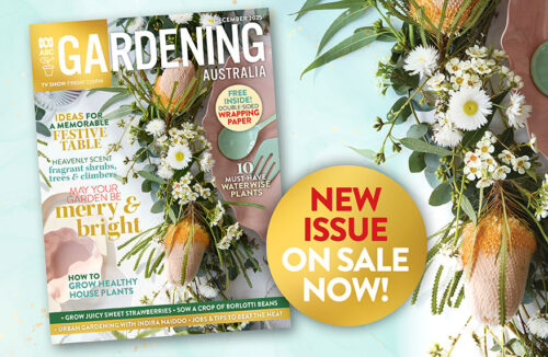 December issue of ABC Gardening Australia magazine