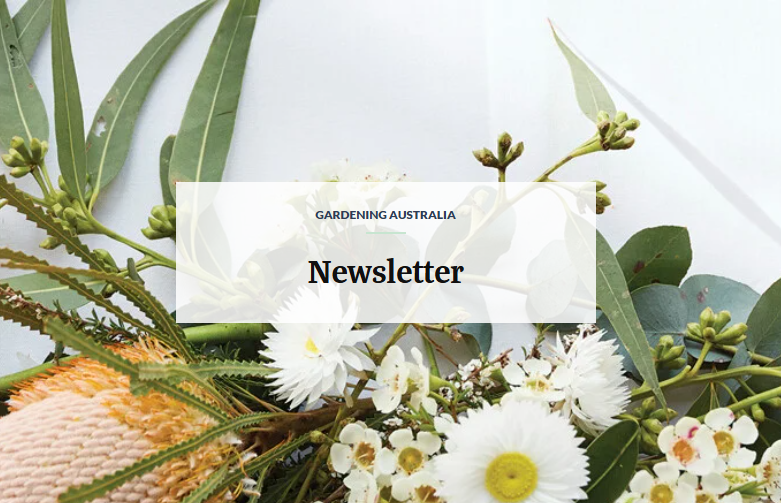 Join Our Newsletter
