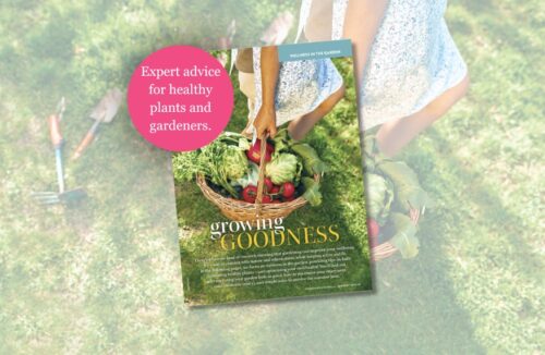 Gardening wellbeing ebook