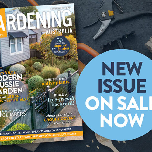 New issue - on sale now