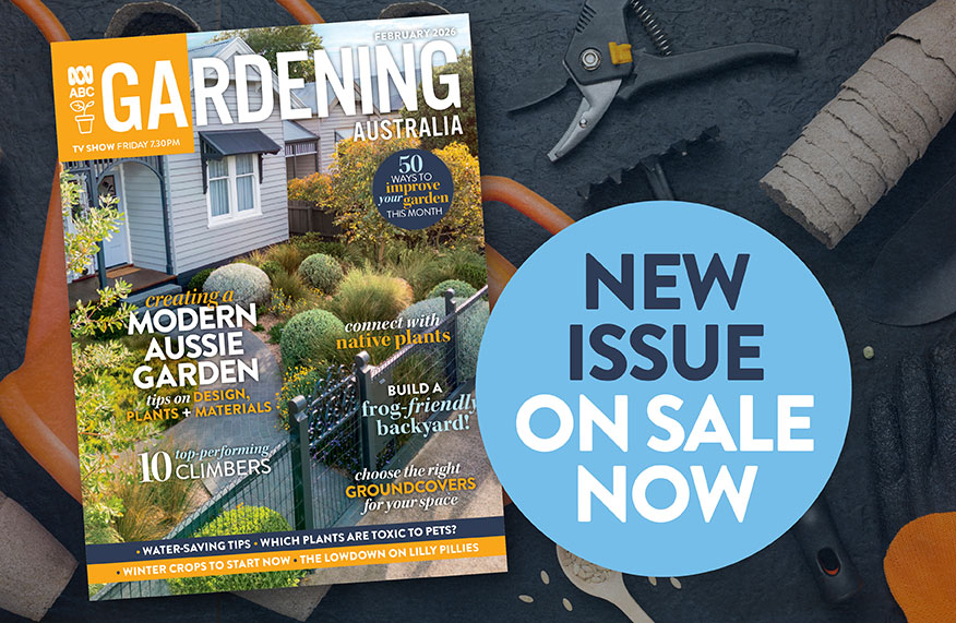 New issue - on sale now