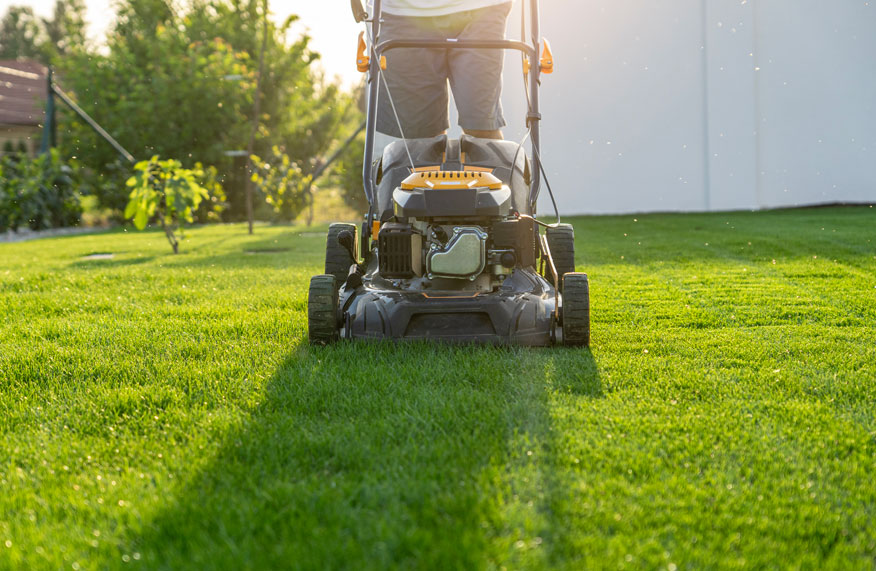 Top job: summer lawn care