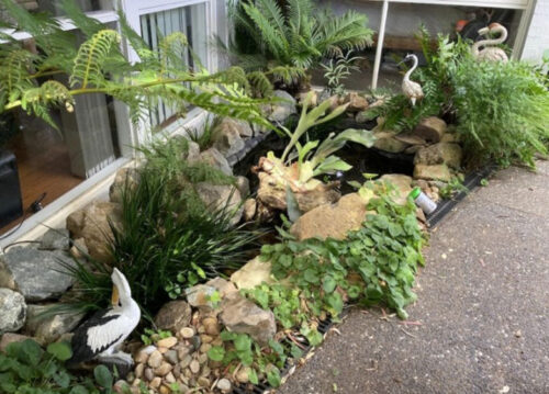 garden