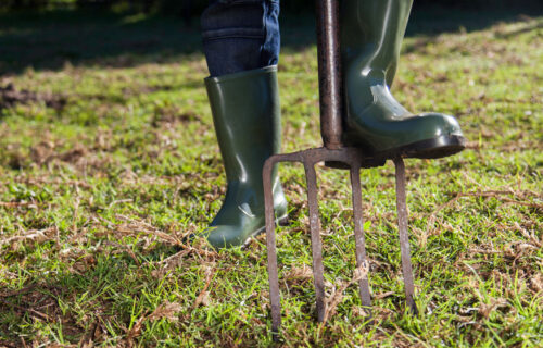 garden fork