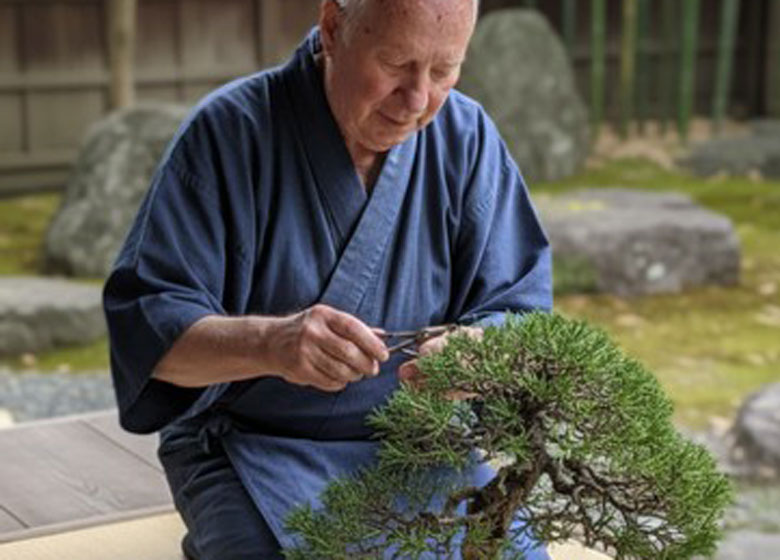 bonsai care