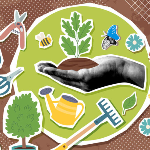 planting illustration