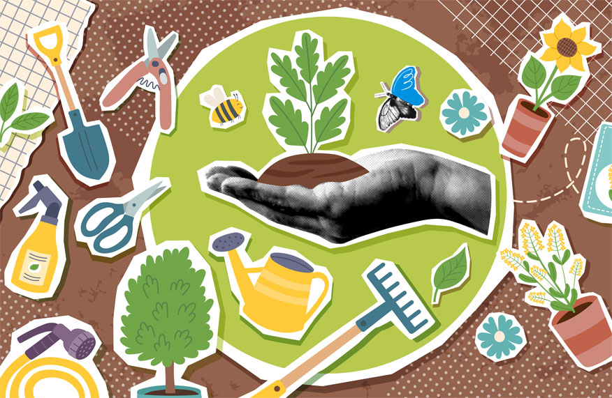 planting illustration