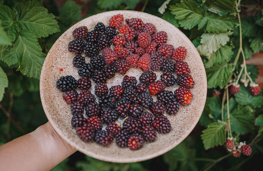 berries