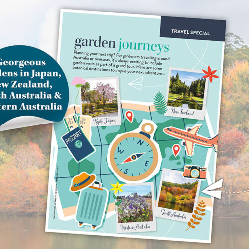 travel e-book cover