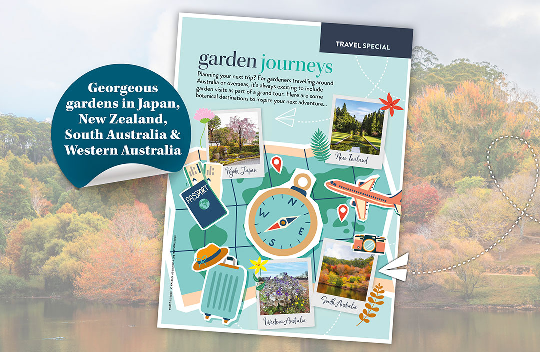 travel e-book cover