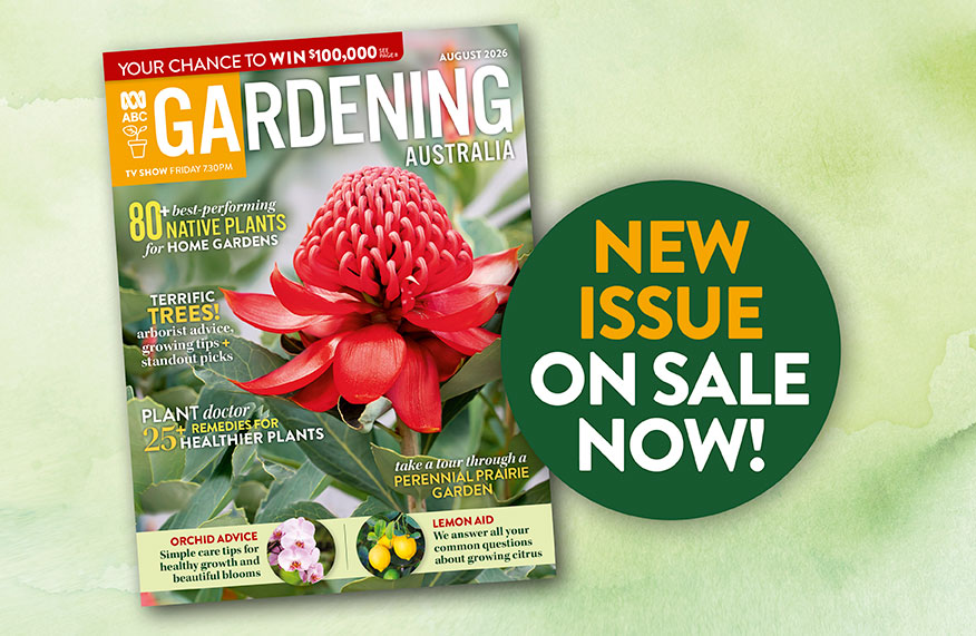 New issue - on sale now!