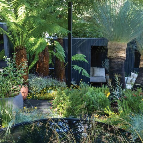 native garden with pond