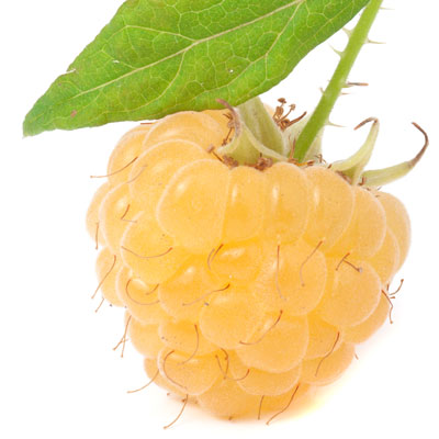 yellow raspberry