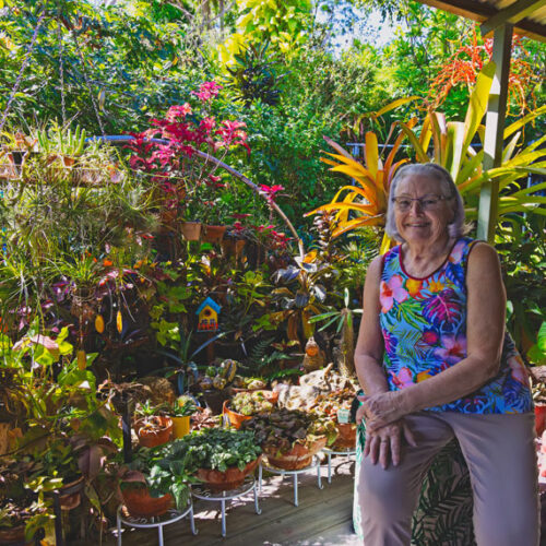Step through a Darwin wonderland