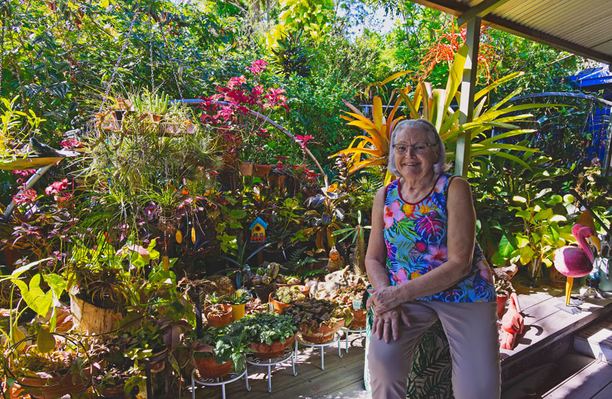 Step through a Darwin wonderland