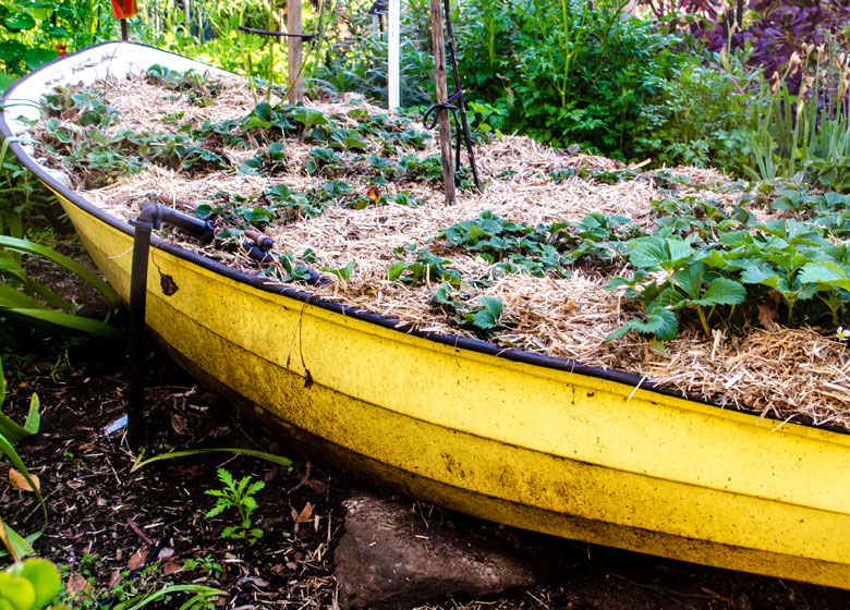 garden with yellow boat