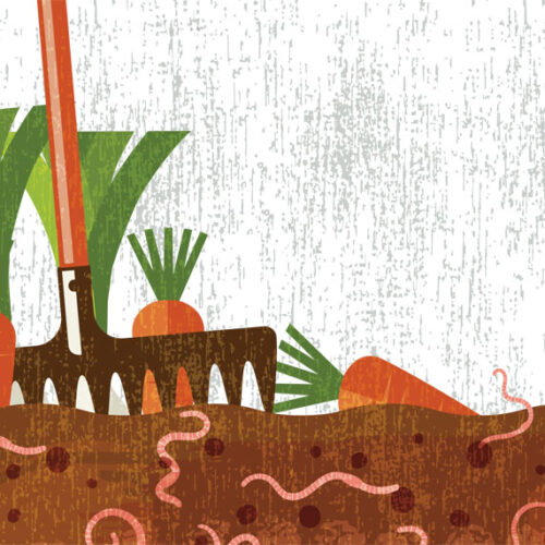 graphic of a rake in soil with carrots and worms