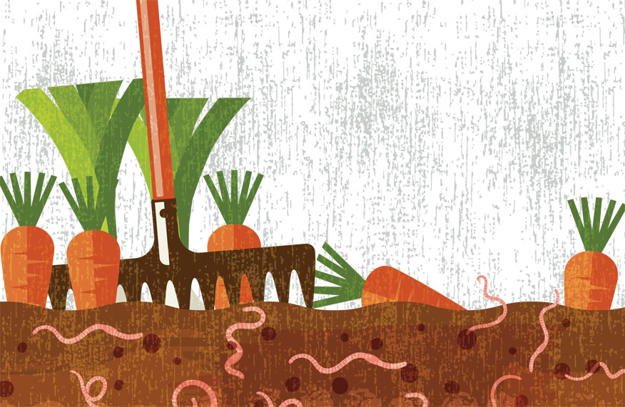 graphic of a rake in soil with carrots and worms