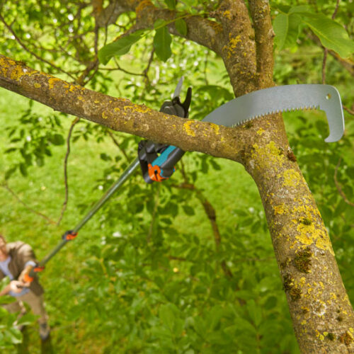 The secret to smarter pruning  