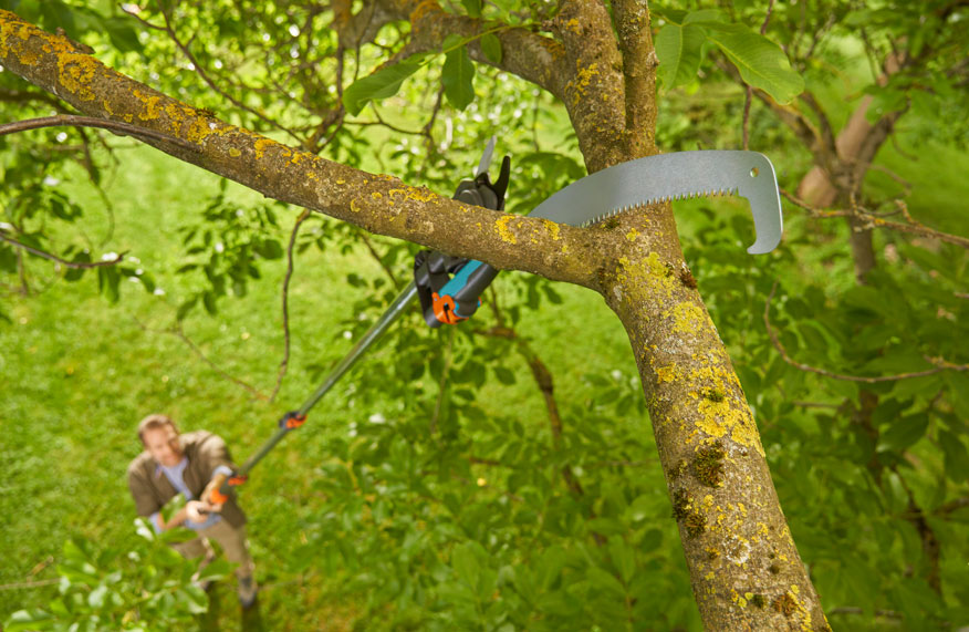 The secret to smarter pruning  