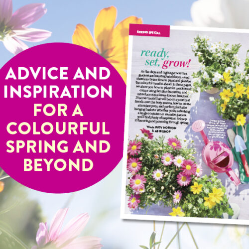Welcome spring: your free e-book!