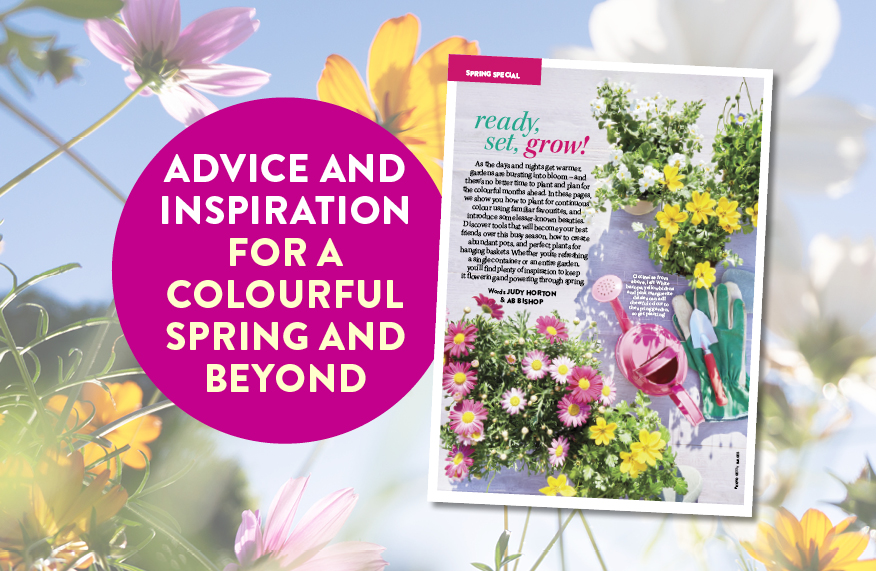 Welcome spring: your free e-book!