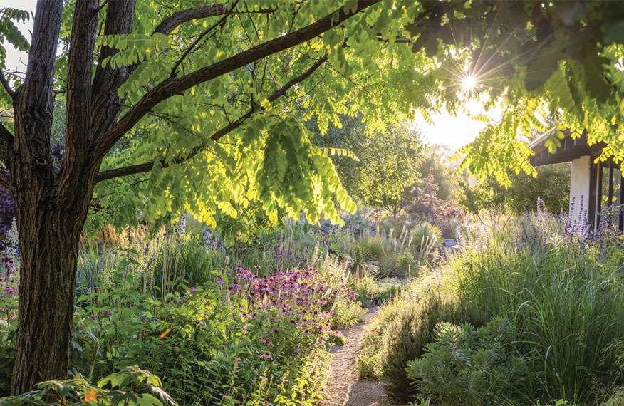 garden with trees and flowers