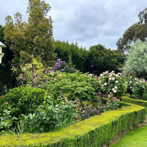 garden with flowers and hedges