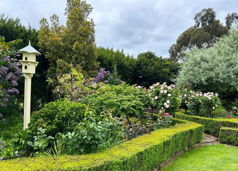 garden with flowers and hedges