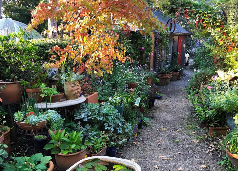 cottage with coloured plants and trees and a lily pond