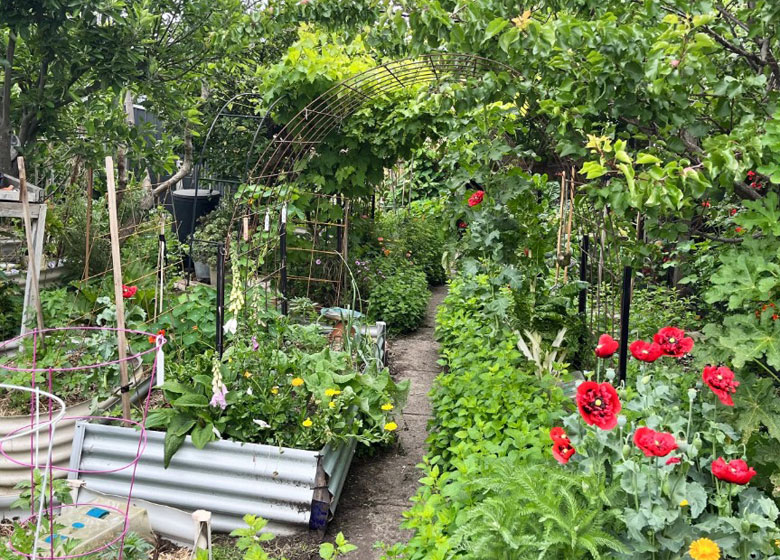 garden with flowers and vegetable plants