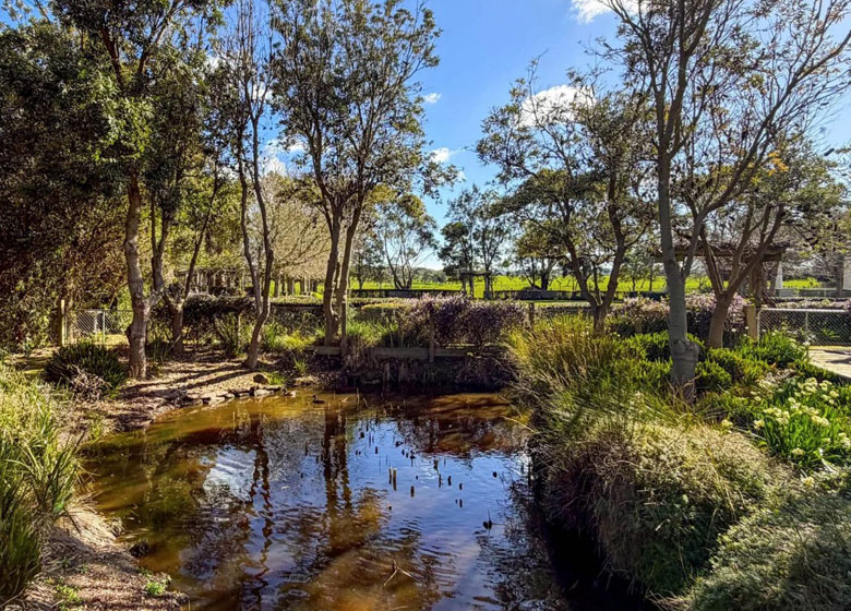 large pond with established trees