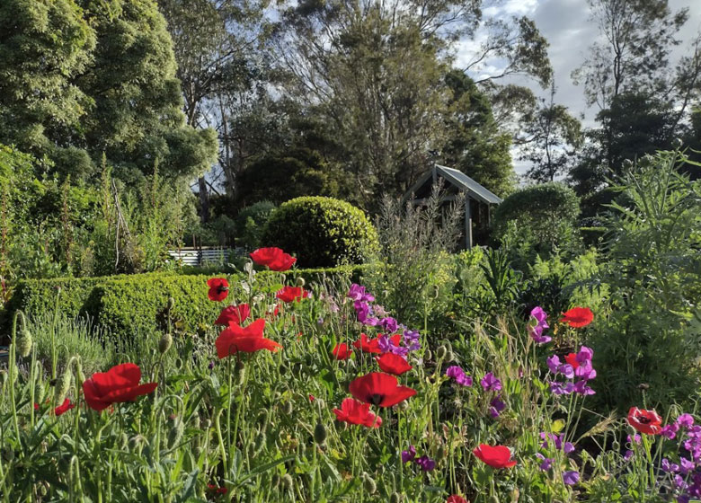 garden with topiary and red flowers