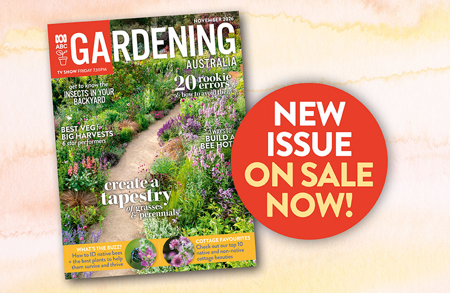 In this issue - November 2026