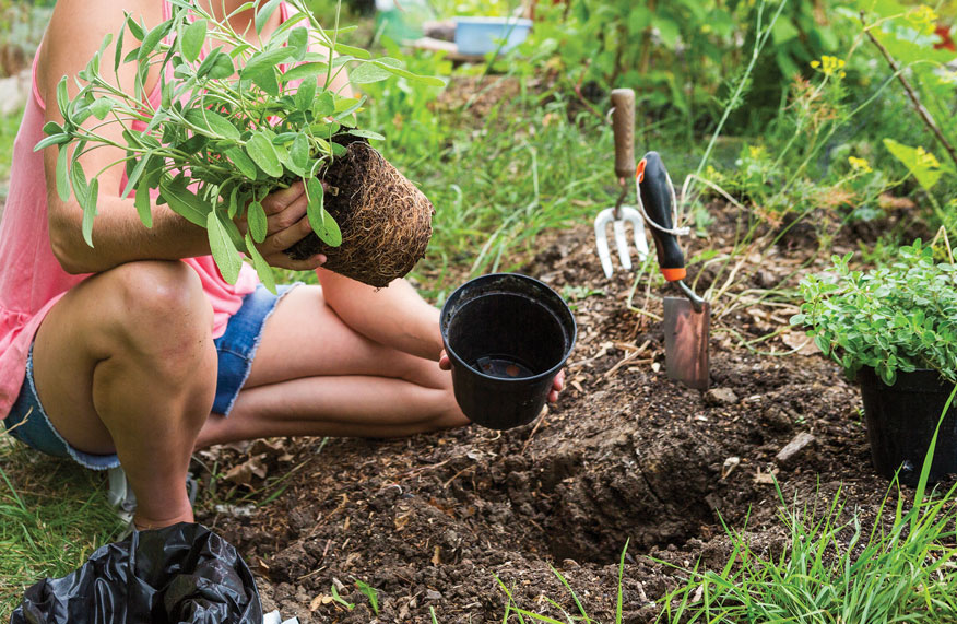 common gardening mistakes