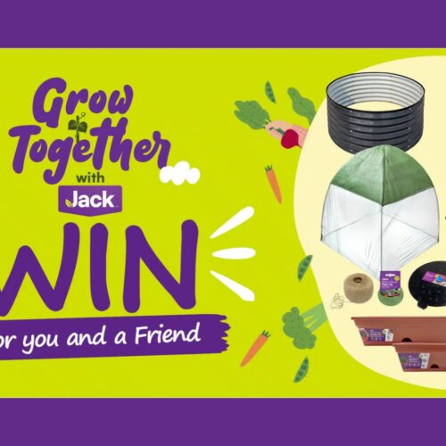 Grow together competition